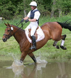 Andreas Brandt (Neuendorf) gewann in Sahrendorf/NS die 2.  Abteilung der CIC 1* Prüfung auf Escada JS. Foto: Jutta Wego
