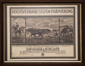 Für Familienbegründerin Noberine I erhielt Züchterfamilie Brinkmann 1926 vom Reichsverband ein Diplom.