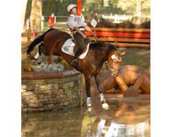 Andreas Brandt liegt bei der WM für Vielseitigkeitspferde nach dem Gelände bei den siebenjährigen Pferden mit FRH Escada JS auf dem 7. Platz. Foto: Rousseau Andreas Brandt liegt bei der WM für Vielseitigkeitspferde nach dem Gelände bei den siebenjährigen Pferden mit FRH Escada JS auf dem 7. Platz. Foto: Rousseau